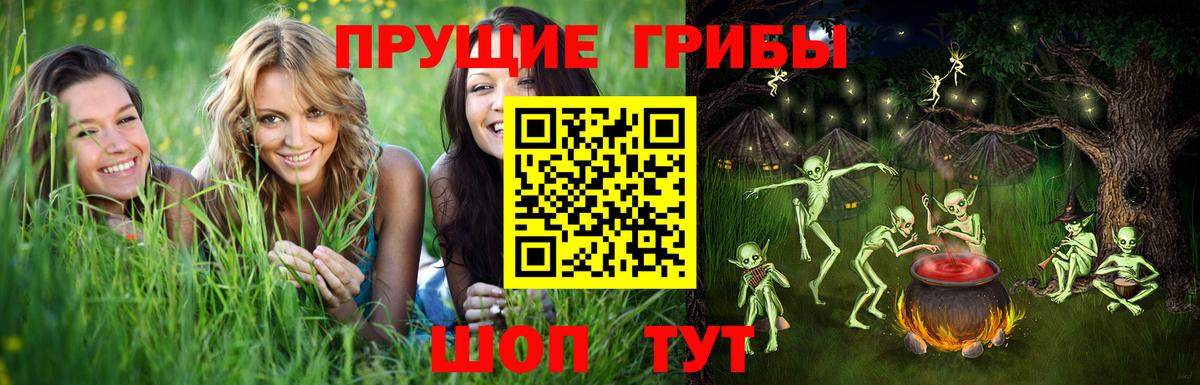 Псилоцибиновые грибы Psilocybe  Вход с VPN  Светлоград 